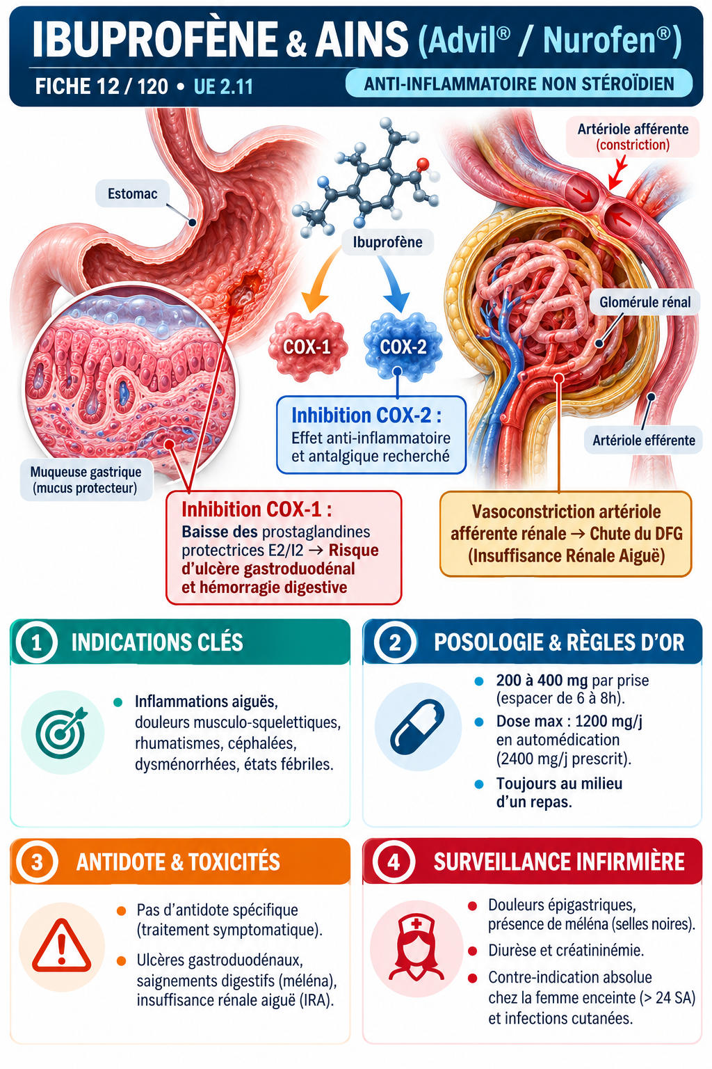 Fiche Ibuprofène AINS