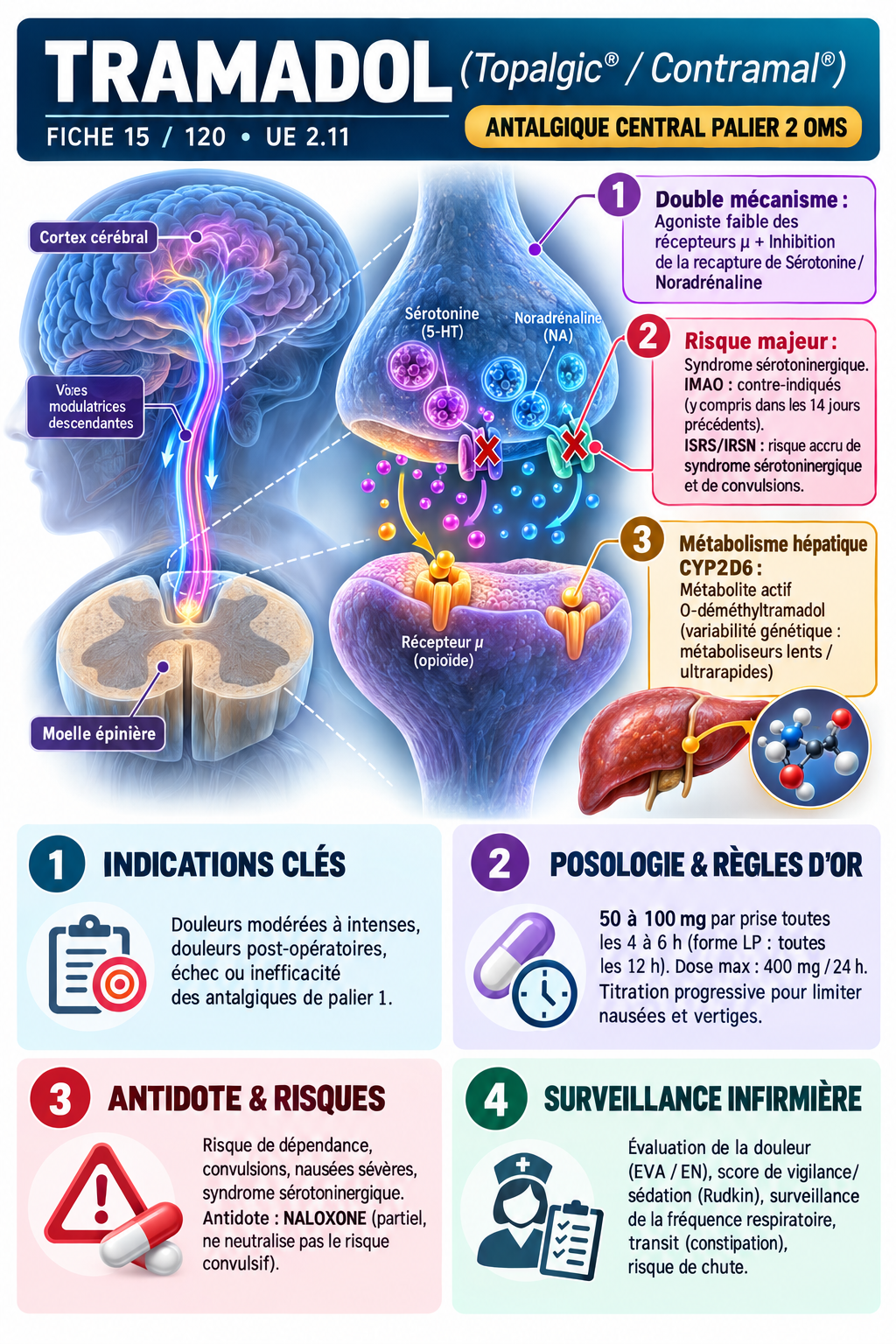 Fiche Tramadol